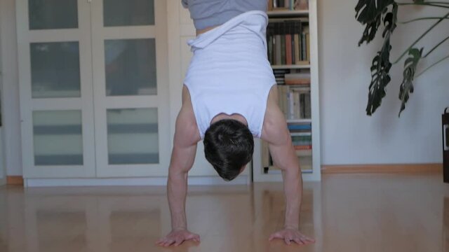 The body is vertical in a handstand push-ups