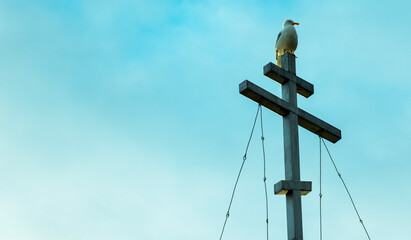 Fototapeta na wymiar a white gull sits on the cross of the Church