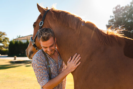 Millennial horse keeper leading brown horse in field with back light and lens flare - Powered by Adobe