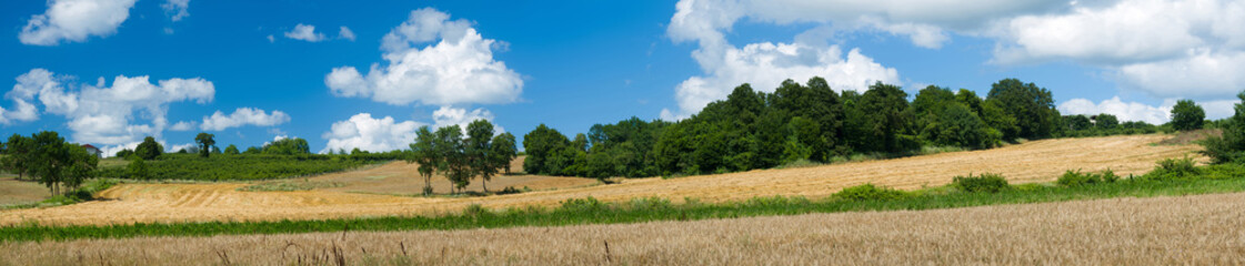 Panoramic view of agricultural land. Wheat fields and forests against blue sky background