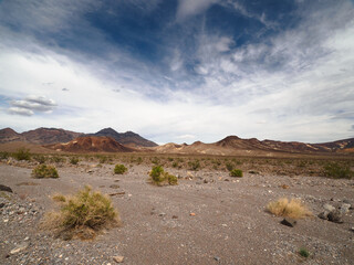 Spring landscape of Death Valley