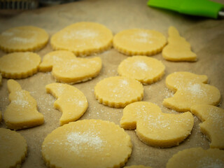 Fototapeta na wymiar Homemade Gingerbread Shortcake Cookies