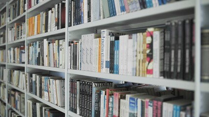 The library interior. Shelfs with books