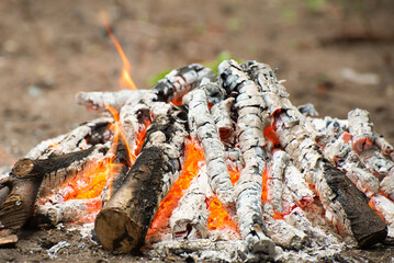 burning coals in camp fire - natural eco-friendly warmth for a cozy atmosphere and cooking