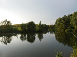reflection of trees in water