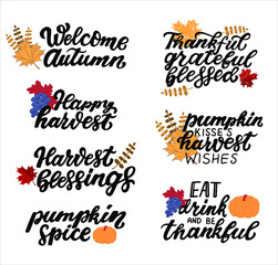 Happy harvest quotes set. Pumpkin kisses harvest wishes. Pumpkin spice. Welcome autumn. Harvest blessings. Hand lettering phrase set with autumn yellow leaves  