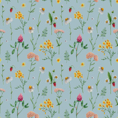 Meadow flowers in watercolor