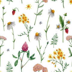 Meadow flowers in watercolor