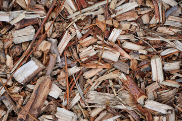 Wood shavings macro, close up timber chips, texture.