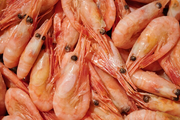 Orange shrimp macro photo, prawn close up.