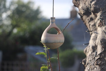 small bird house hanging of tree in garden setting 