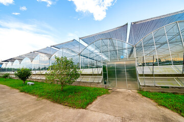 The greenhouse of modern agriculture is under the blue sky and white clouds.