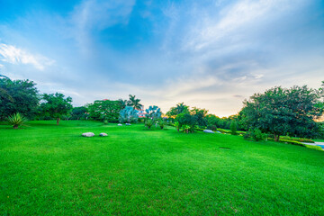 A grassy garden in a park.