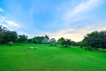 A grassy garden in a park.