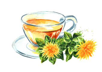 Сup of herbal safflower tea with safflower flowers. Hand drawn watercolor illustration, isolated on white background