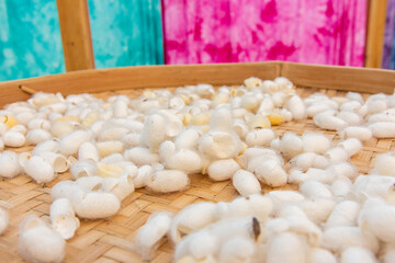 Cloth silk raw material silk