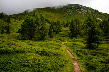 Obraz premium path between the peaks of the Lagorai nine