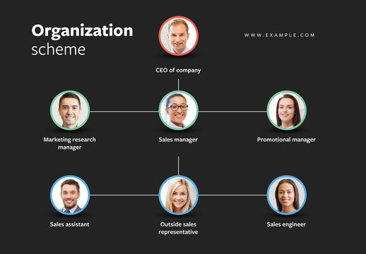 Organization Scheme Layout with Dark Background