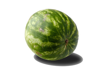 a large juicy ripe watermelon, isolated on a white background with added shadow.