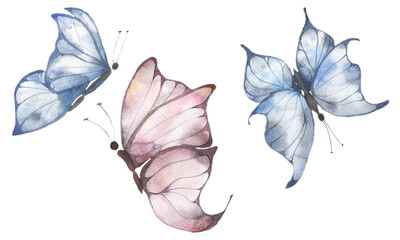 Three butterflies-watercolor painting, pastel colors, single elements on a white background. Watercolor illustration for design of postcards, weddings, invitations, Wallpaper, fabrics.