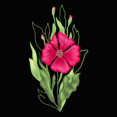 Floral illustration with red poppies on a black background.