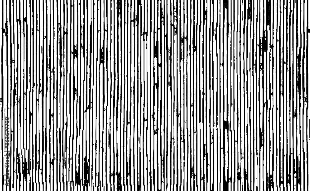 Poster Slim lines texture. Parallel and intersecting lines abstract pattern. Abstract textured effect. Black isolated on white background. Vector illustration. EPS10.
