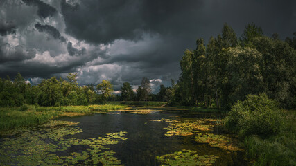 Summer thunderous landscape with a river, water flowers, forest and dark dramatic clouds