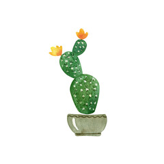 Houseplant cactus with yellow flowers in pot. Watercolor  illustration isolated on white.