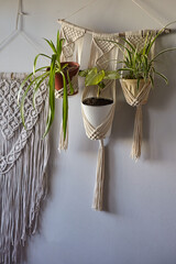 Macrame decor on the wall. Macrame handmade Plant Hanger and wall hanging 