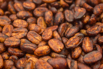 Dried coffee grains with honey process, dried directly after pulping process.