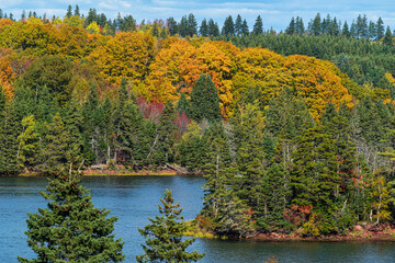 A river running through a fall landscape in rural Prince Edward Island, Canada.