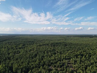 Aerial view of the forest landscape