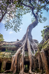 ta promh temple in Cambodia