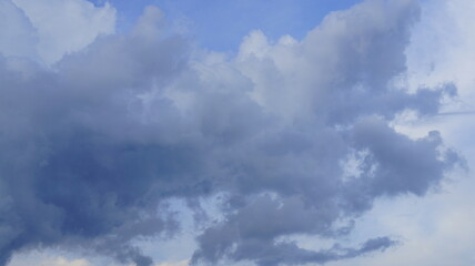 SONY DSC
