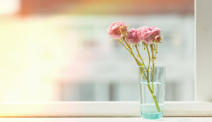 Pink roses in a vase on the windowsill, with sunshine.