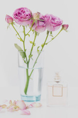 Pink flowers - roses in a vase, next to a bottle with perfume on a blurred background.