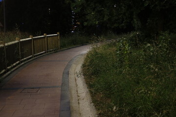 Empty pedestrian path in the countryside