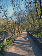 perspective view of a long straight pathway running alongside a river surrounded by sunlit trees in calderdale west yorkshire near hebden bridge