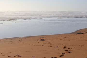 Beautiful sandy beach in summer sunny day with calm waves. Seascape background.