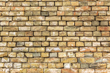 the old yellow brick wall