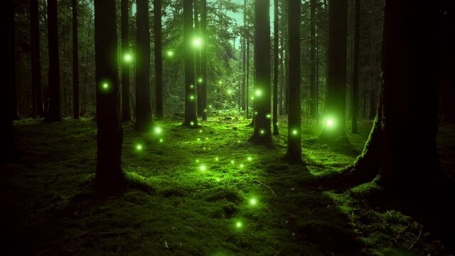 Dreamy glowy fireflies in green sunny mossy woodland.