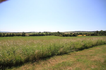 Fototapeta na wymiar view of the field