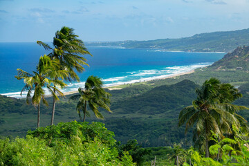 Fototapeta na wymiar CLOSE UP: Winds blow over the untouched green shore of Barbados on a sunny day.