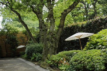 上野2015