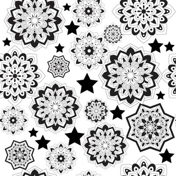 Seamless pattern with plants black and white plants and floral mandala elements. Ornamental ornate background. 