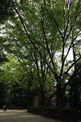 上野2015