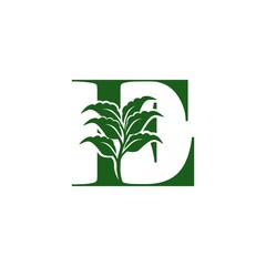 Green Letter E logo with leaf element, vector design ecology concept