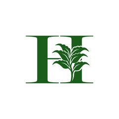 Green Letter H logo with leaf element, vector design ecology concept