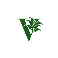 Green Letter V logo with leaf element, vector design ecology concept