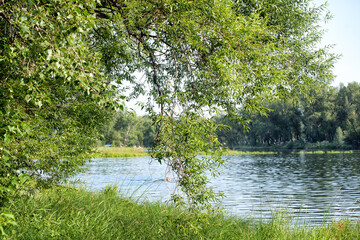 A beautiful landscape of the river surrounded by trees on a sunny summer day under blue sky.